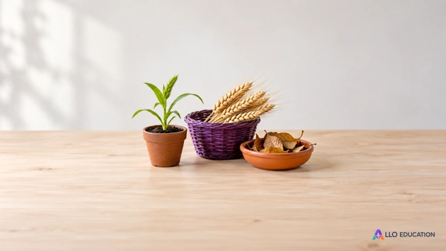 Petite plante en pot, panier de récolte et coupelle de feuilles mortes évoquant les flux de matière d’un agrosystème.